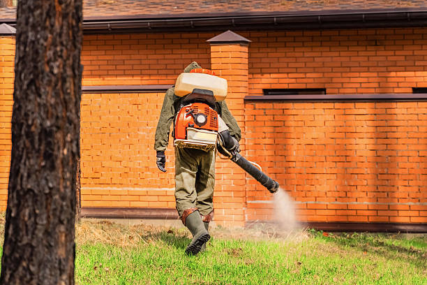 Trusted Cockroach Control service in Budd Lake, NJ - Nex Pest Control